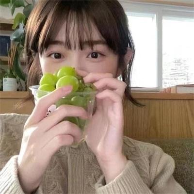 柏林猫咪日记